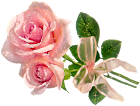 rosas%2520meu%2520cantinho%2520isi.png