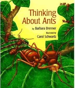 [ants%2520thinking%2520about%255B5%255D.jpg]