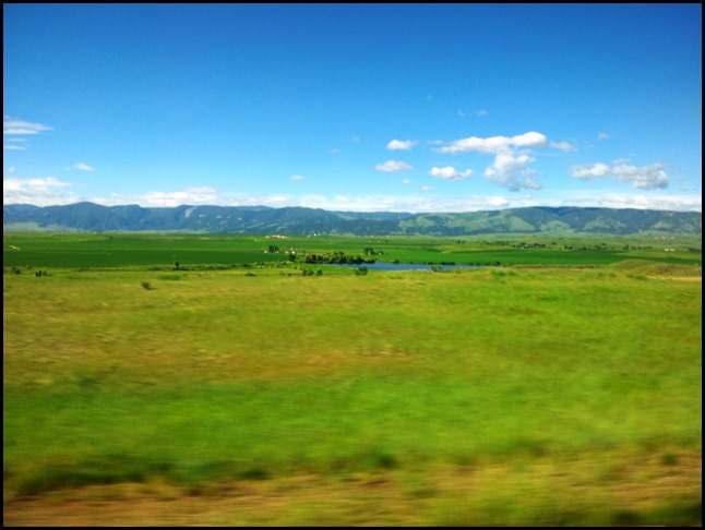 20130625_091026 - Kopie