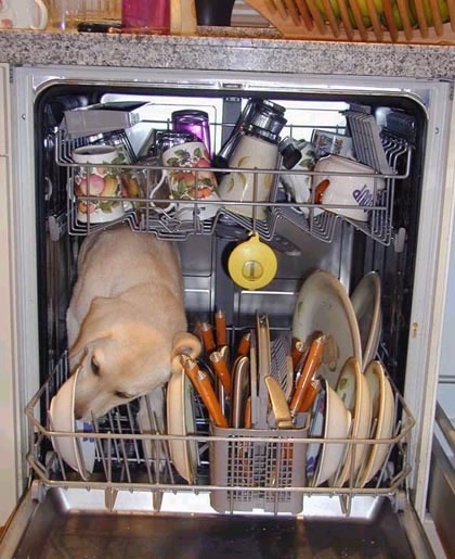 [how_does_a_bosch_dishwasher_work_the_secret_is_out%255B3%255D.jpg]