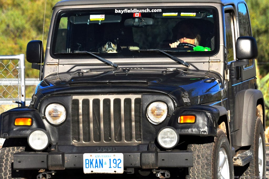 [DSC_0010%255B4%255D.jpg]