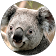 Kevin Sharma Kevin Sharma