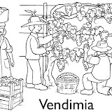 vinoVendemmia-1.jpg