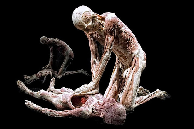Gunter Von Hagens - 2.jpg