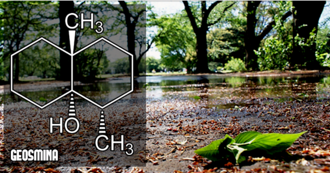 Dicas de Química GEOSMINA
