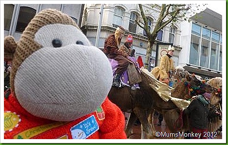 Camels in Wolverhampton Town Centre
