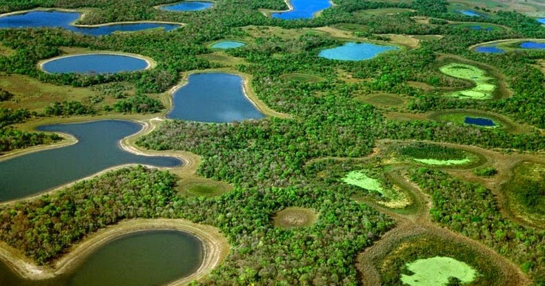 Pantanal, The World’s Largest Freshwater Wetland | Amusing Planet