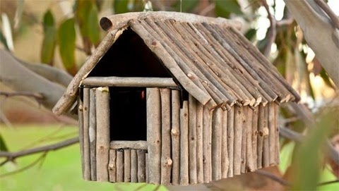 [bird_house_18b5g6b-18b5g6h3.jpg]