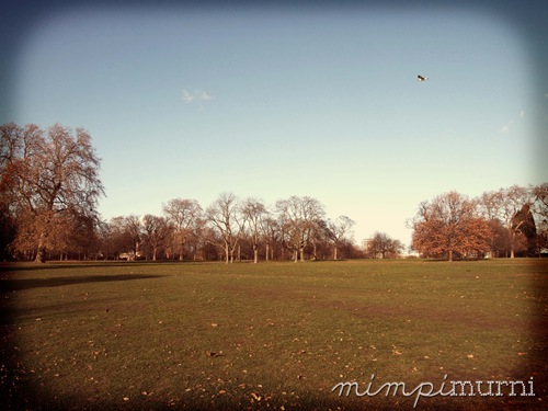 Hyde Park in the winter is just as lovely as any other time of the year IMHO.