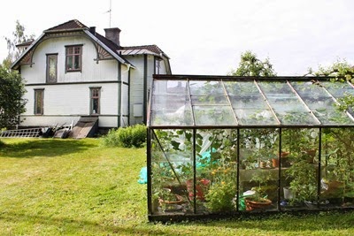 Växthus. Foto: Erika Åberg