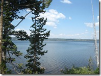 IMG_7131 IMG_7131