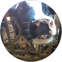 Antonio Romero profile picture