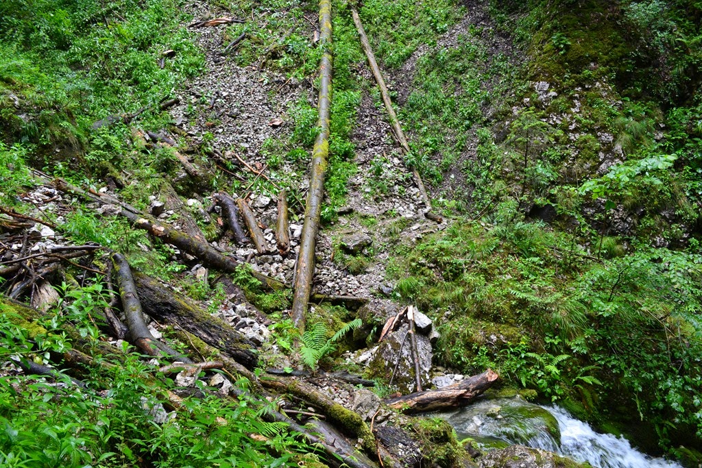[DSC_02523.jpg]