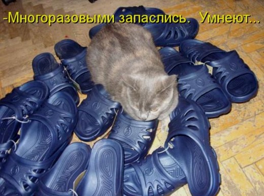 [d5fa3c118dae8a78dfae29a6bec_prev%255B7%255D.jpg]