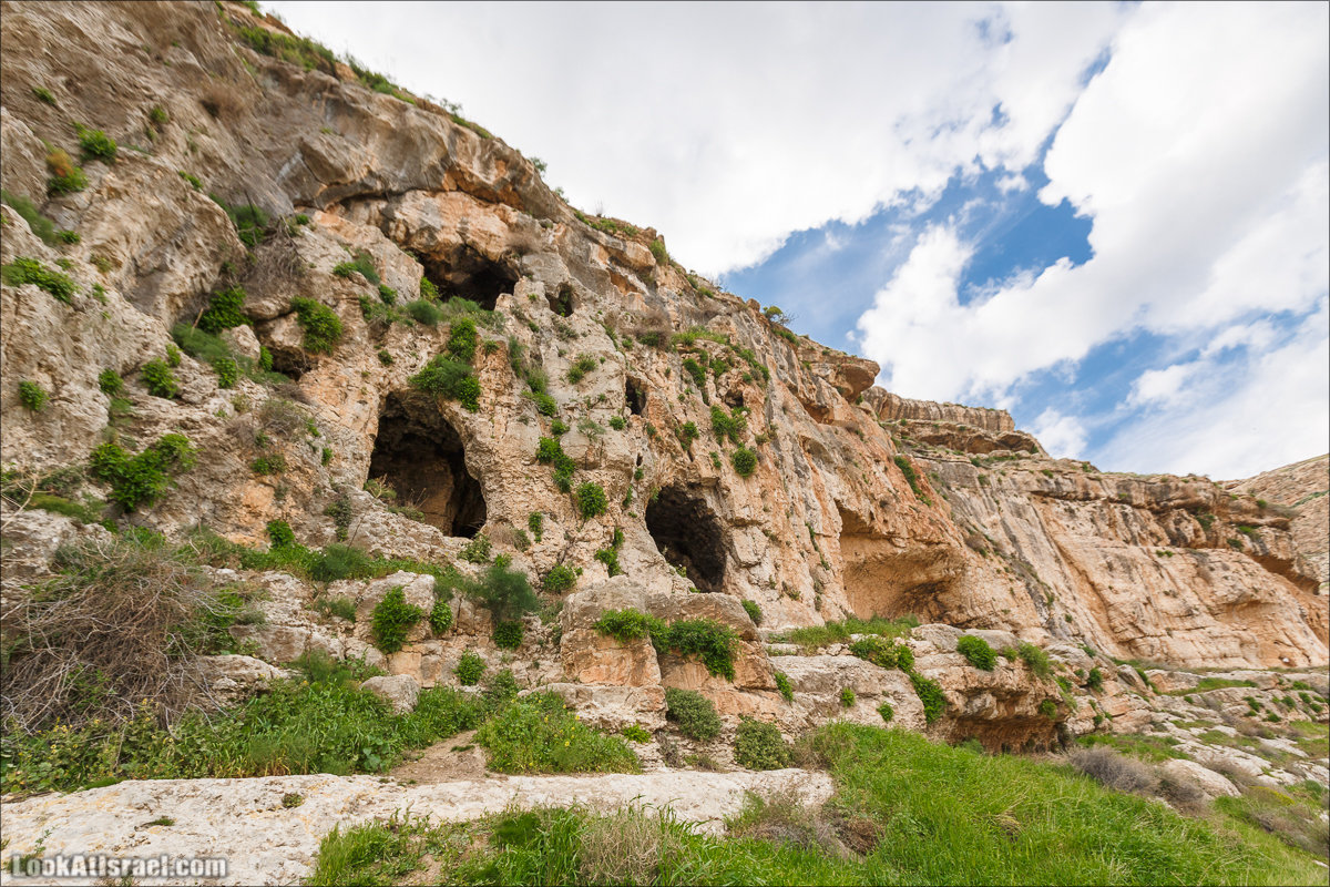 LookAtIsrael.com - Ущелья Харитона и Суккийская лавра в ущелье Ткоа | Wadi Tekoa and Hariton Cave | נחל תקוע מערת חריטון