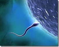 zimbabue esperma