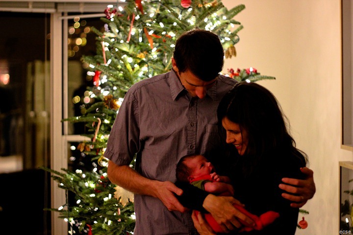 IMG_7403 IMG_7403