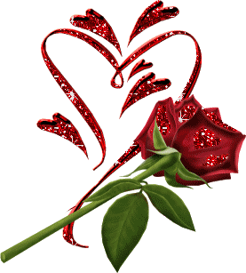 rosas san valentin 14febrero-net (5)