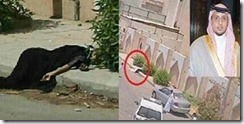 Putera Arab Saudi perkosa dan bunuh gadis 25 tahun 2
