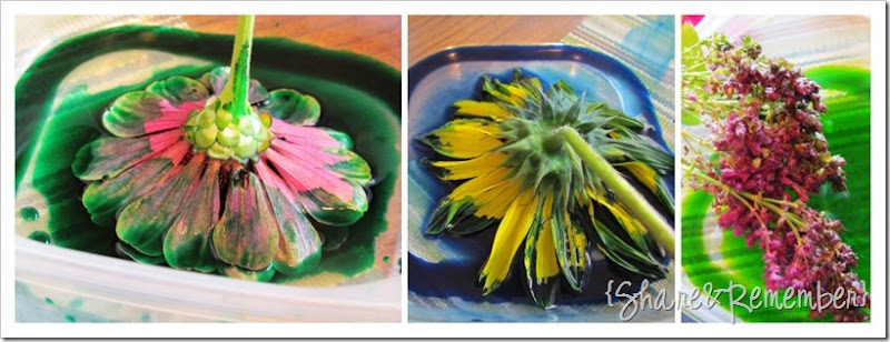 Painting with flowers paint colors