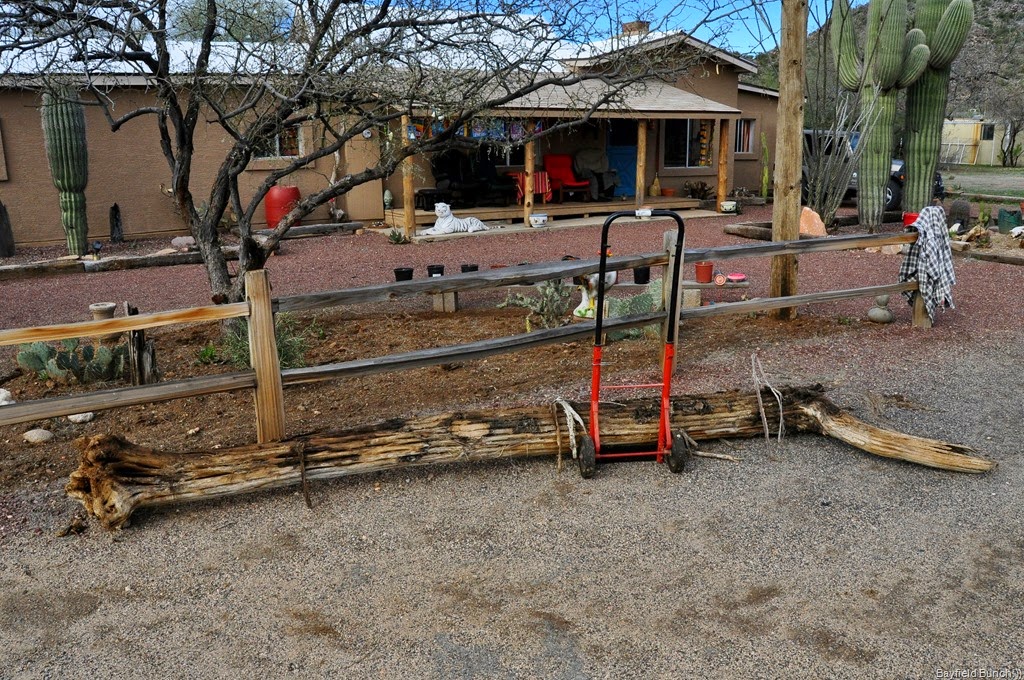 [DSC_0003%255B3%255D.jpg]