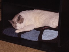 Truman napping in tv stand