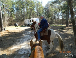 horseback ride 06