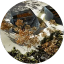 Dan Paraschivoiu profile picture