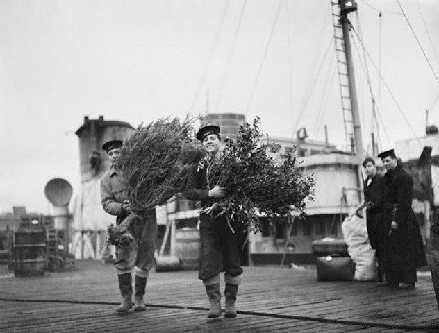 [Two%2520sailors%2520carrying%2520the%2520Christm%2520tree%2520and%2520holly%255B3%255D.jpg]