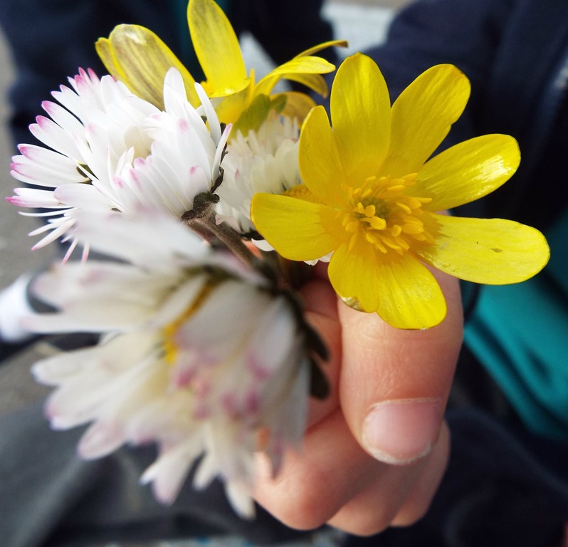 [little-hand-and-little-flowers5.jpg]