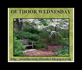 Outdoor-Wednesday-logo_thumb1_thumb1