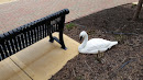Excelsior Crossings Swan Bench
