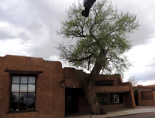A Pueblo style--with rounded corners--adobe building in downtown Taos