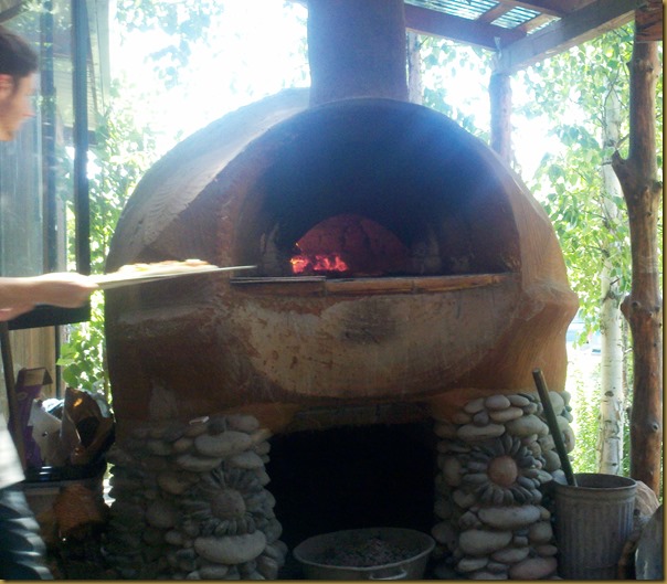 gtf pizza oven2