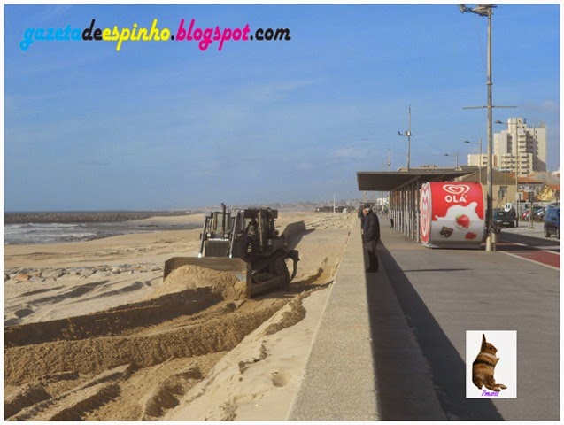 [O%2520desenvolvimento%2520das%2520Ruas%2520de%2520Espinho009Gazeta%2520de%2520Espinho%255B2%255D.jpg]