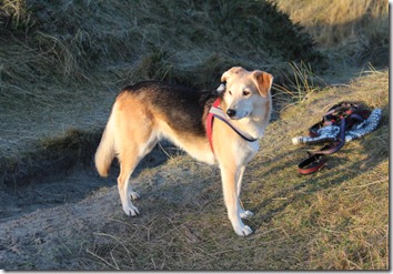 IMG_0618 IMG_0618