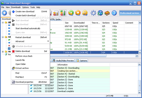 Free-Download-Manager-3.0-20100201-152653