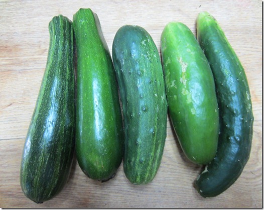 Dunja zucchini, Diva cukes and a Summer Dance on right