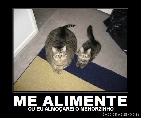 [bacanaus-imagens%2520%25281%2529%255B2%255D.jpg]