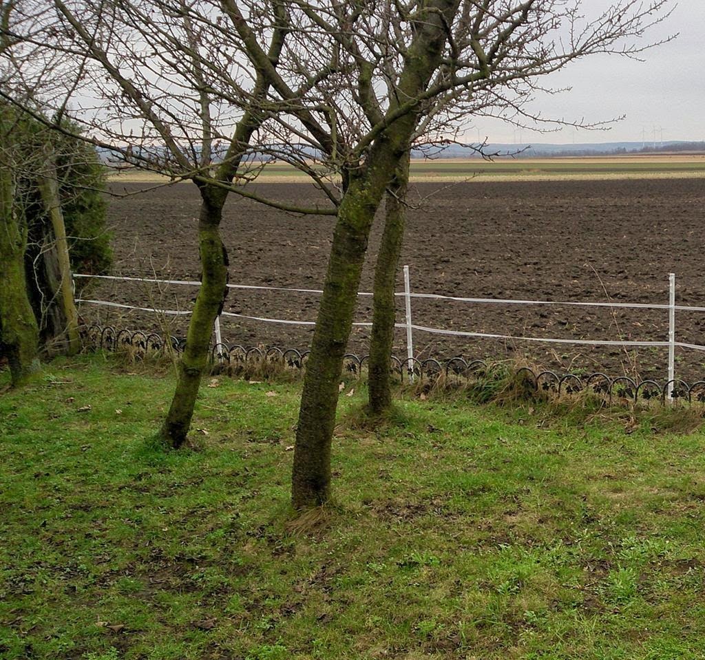 [DSC_1399_re%255B2%255D.jpg]