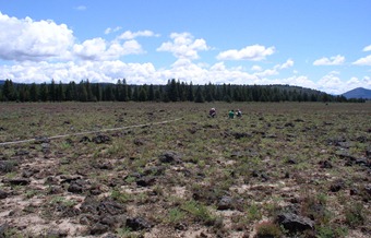 vegetation transects on extremely stony Knotmer soil, OR683