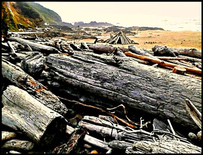 This beach is a driftwood picking beachcomber's dream come true.