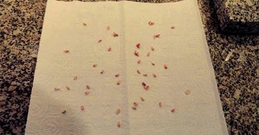 [clip_image003%255B4%255D.jpg]