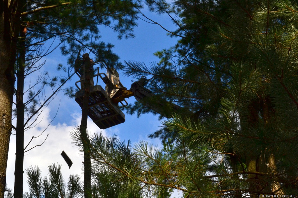 [DSC_0030%255B4%255D.jpg]