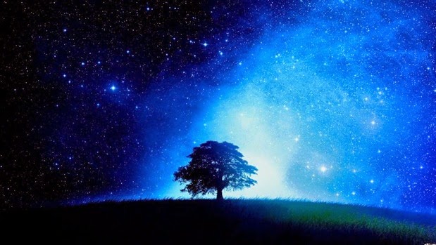 11018-tree-starry-night