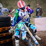 By Alessandra Tommei