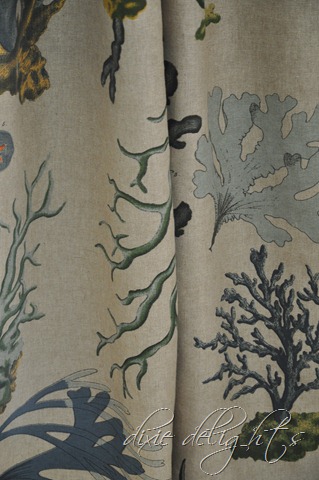 [January20131122.jpg]