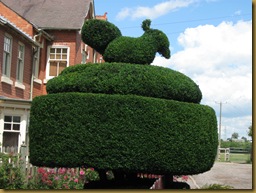 IMG_0005 Fleckney Topiary