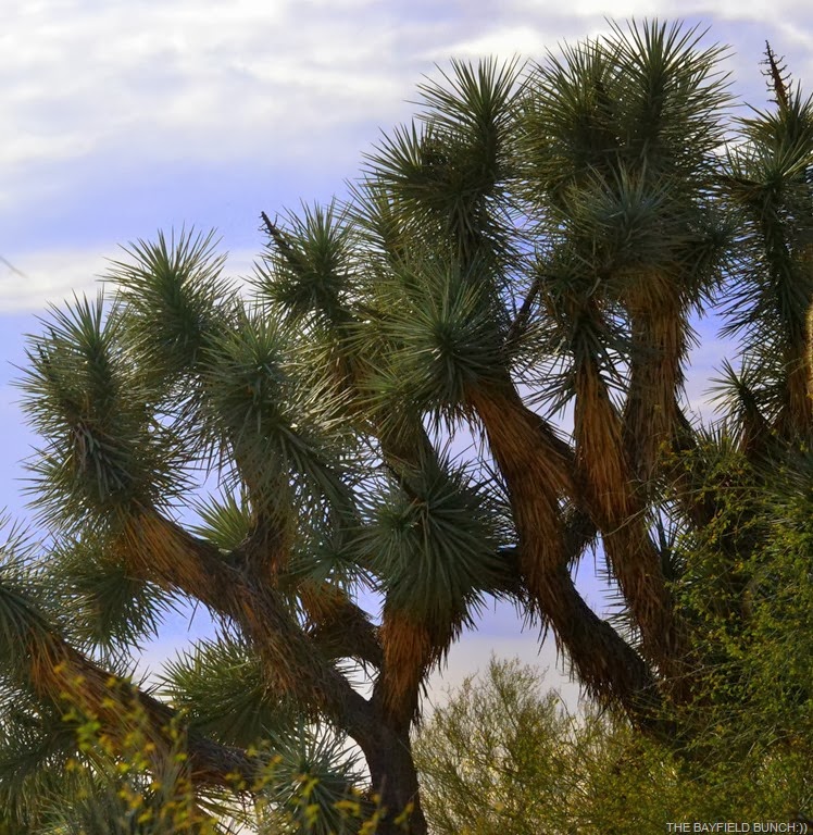 [DSC_0018%255B3%255D.jpg]