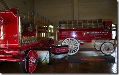 Clydesdales wagons
